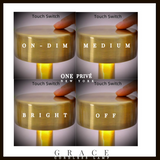 Grace Hospitality Tabletop Lamp in Modern and elegant Silver Effortless Ambiance, Cordless Rechargeable one touch on and off
"Illuminate Your Space with Elegance"
Experience the perfect blend of style and functionality with our Grace Hospitality Tabletop Lamp. This luxurious cordless lamp brings radiant energy to any setting, revealing nuanced shapes and vibrant colors.
Key Features:
- Cordless and rechargeable (charger included)
- One-touch on/off and dimming control
- Atmospheric dimming