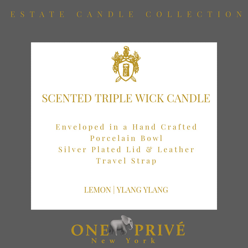 Lemon Ylang Ylang Luxury Candle | Porcelain Bowl & Silver Enclosure | Triple Wick